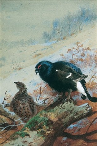 archibald thorburn black game in winter A4 Photo Print