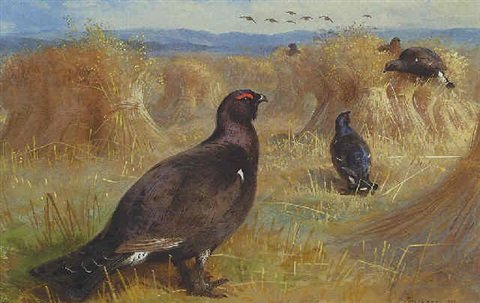 archibald thorburn blackcock amongst the corn stooks A4 Photo Print