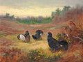 archibald thorburn blackcock and grey hen on the lek A4 Photo Print