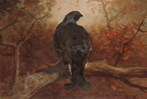 archibald thorburn blackcock roosting on a branch A4 Photo Print