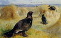 archibald thorburn blackgame amongst the corn stooks A4 Photo Print