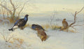 archibald thorburn blackgame in snow evening A4 Photo Print