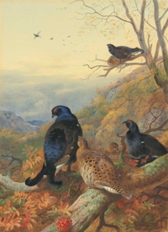 archibald thorburn blackgame in the glen A4 Photo Print