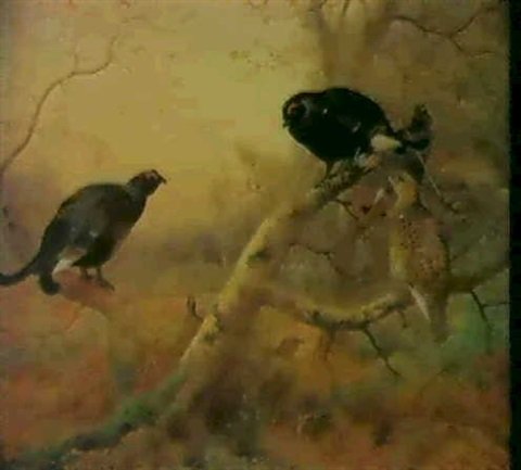archibald thorburn blackgame in the woods A4 Photo Print