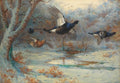 archibald thorburn blackgame in woodland winter A4 Photo Print
