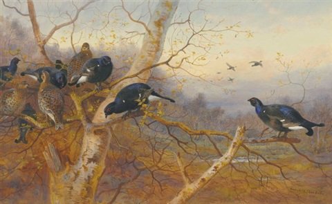 archibald thorburn blackgame packing A4 Photo Print
