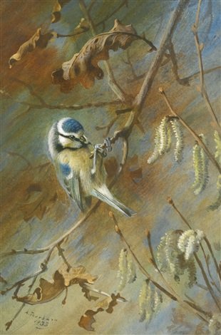 archibald thorburn blue tit and wren 2 works A4 Photo Print