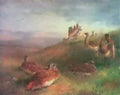 archibald thorburn bustards at sunrise A4 Photo Print