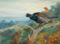 archibald thorburn capercaillie A4 Photo Print