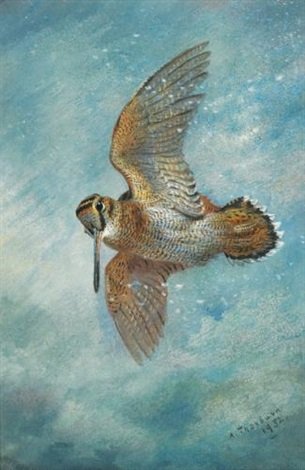 archibald thorburn caught in a blizzard woodcock A4 Photo Print