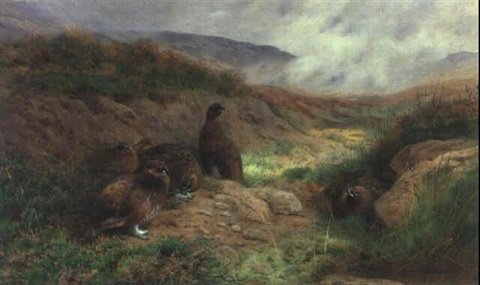 archibald thorburn clearing after rain red grouse on a moor A4 Photo Print