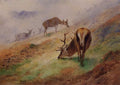 archibald thorburn clearing after rain A4 Photo Print