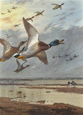 archibald thorburn coming in from the sea A4 Photo Print