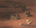 archibald thorburn common house mice A4 Photo Print
