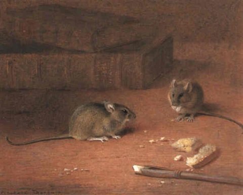 archibald thorburn common house mice A4 Photo Print