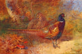 archibald thorburn coq faisan et sa poule faisane A4 Photo Print