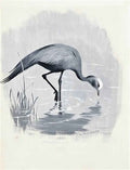 archibald thorburn crane A4 Photo Print