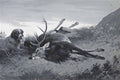 archibald thorburn cruachan and the ten pointer A4 Photo Print