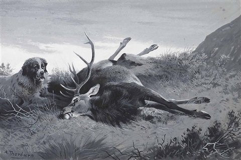archibald thorburn cruachan and the ten pointer A4 Photo Print