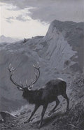 archibald thorburn death of the thirteen pointer A4 Photo Print