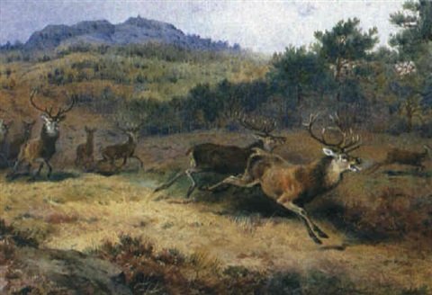 archibald thorburn deer drive at balmoral A4 Photo Print