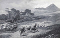 archibald thorburn deer on the move kinlochewe A4 Photo Print