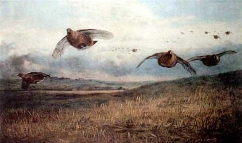 archibald thorburn driven partridges   the twelfth pair A4 Photo Print