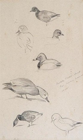 archibald thorburn ducks study 3 works in 1 frame A4 Photo Print