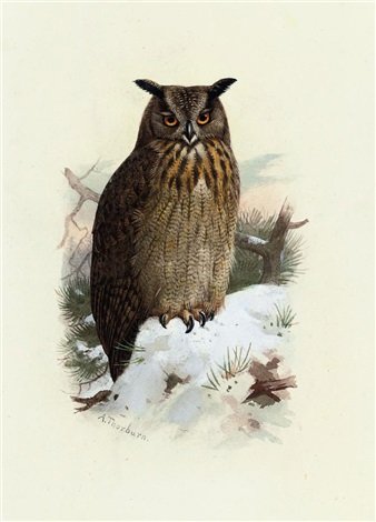 archibald thorburn eagle owl A4 Photo Print