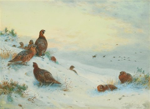 archibald thorburn end of the season A4 Photo Print