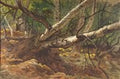 archibald thorburn fallen trees A4 Photo Print