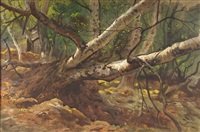 archibald thorburn fallen trees A4 Photo Print