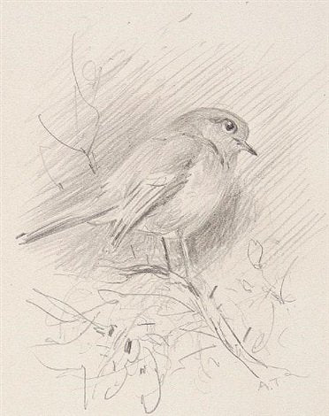 archibald thorburn finches study 3 works in 1 frame A4 Photo Print