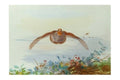archibald thorburn flying grouse A4 Photo Print