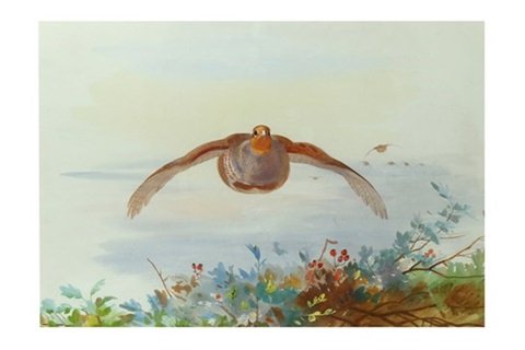 archibald thorburn flying grouse A4 Photo Print