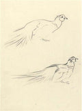 archibald thorburn four cock pheasants   two cock pheasants 2 works A4 Photo Print