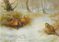 archibald thorburn frost in the coverts pheasants in winter A4 Photo Print