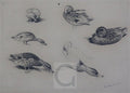 archibald thorburn garganes and gatwall A4 Photo Print