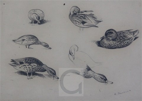 archibald thorburn garganes and gatwall A4 Photo Print