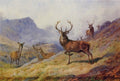 archibald thorburn getting the wind A4 Photo Print
