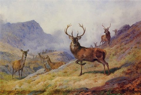 archibald thorburn getting the wind A4 Photo Print