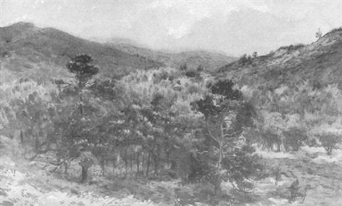 archibald thorburn glen affric A4 Photo Print