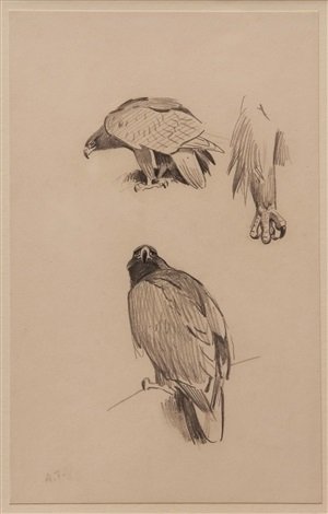 archibald thorburn golden eagle study A4 Photo Print