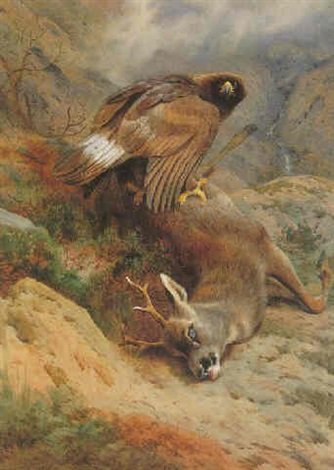 archibald thorburn golden eagle with fallen deer A4 Photo Print