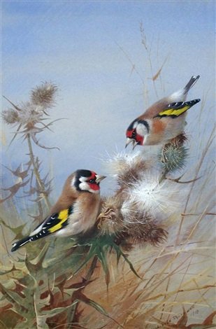 archibald thorburn goldfinches pair A4 Photo Print