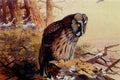 archibald thorburn great grey owl A4 Photo Print