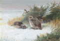 archibald thorburn grey partridge and goldfinches A4 Photo Print