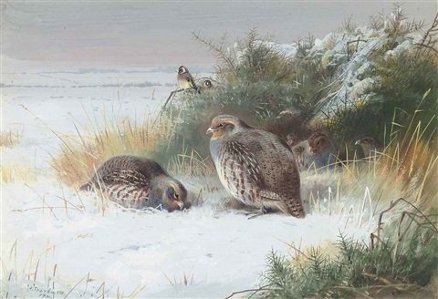 archibald thorburn grey partridge and goldfinches A4 Photo Print