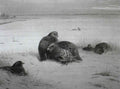 archibald thorburn grey partridges in the snow A4 Photo Print