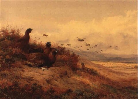 archibald thorburn grouse and cornstooks A4 Photo Print